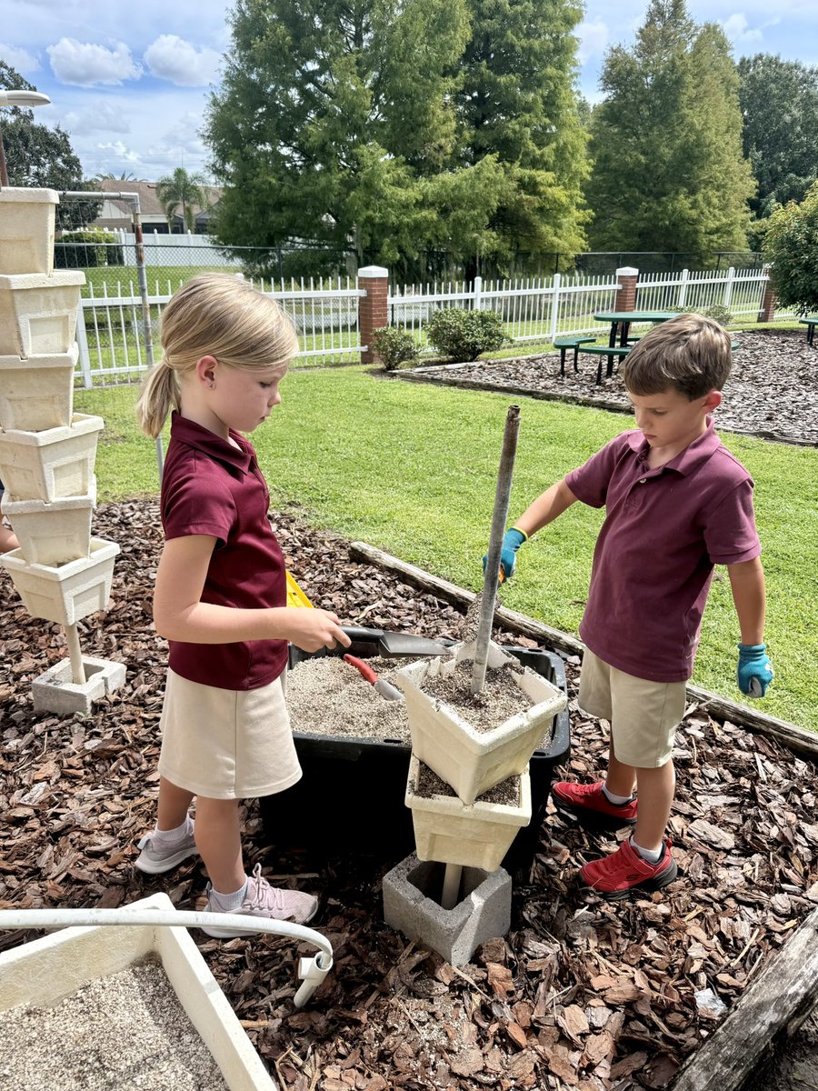 Meri Beth Weber tweet media