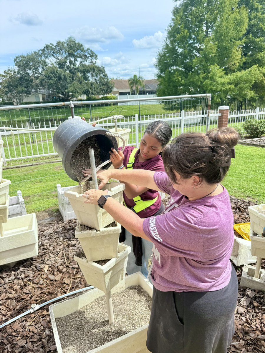 Meri Beth Weber tweet media