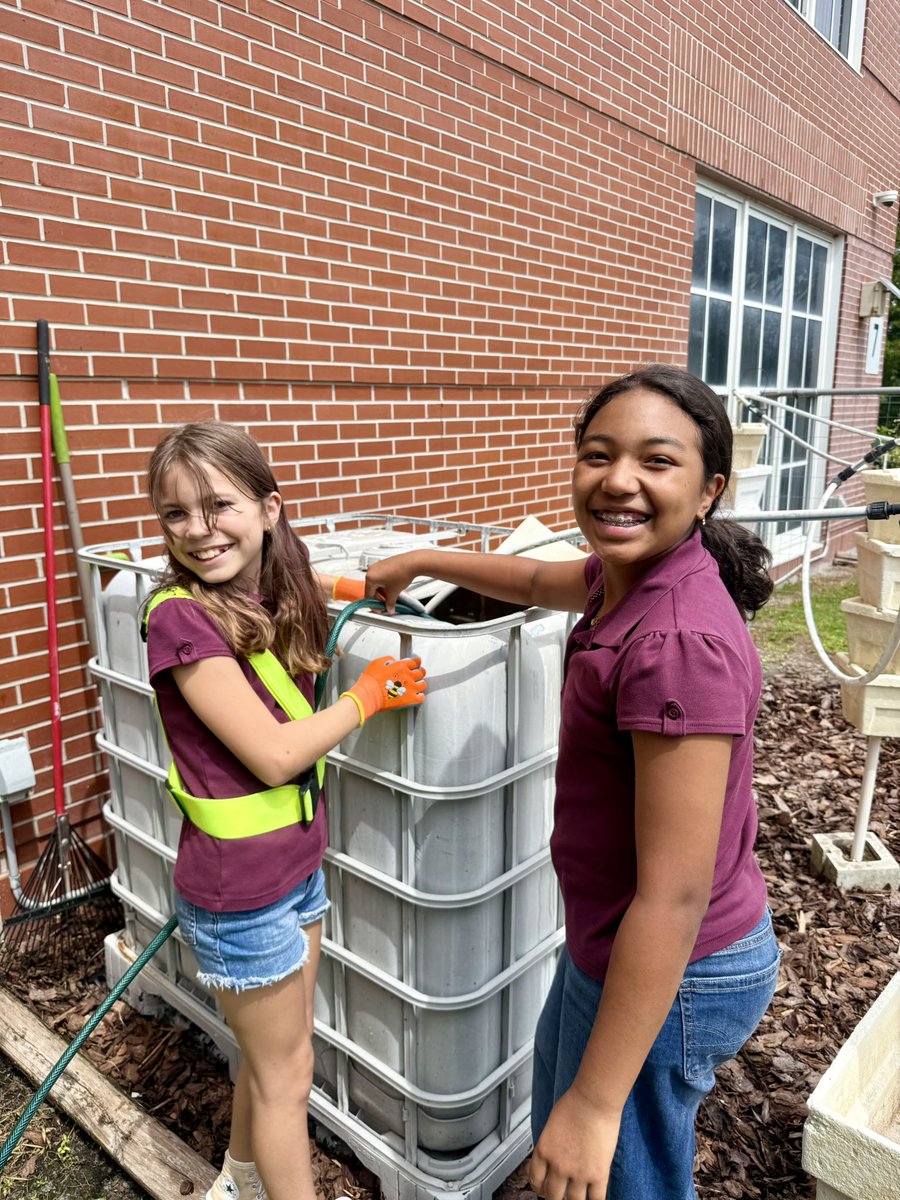 Meri Beth Weber tweet media