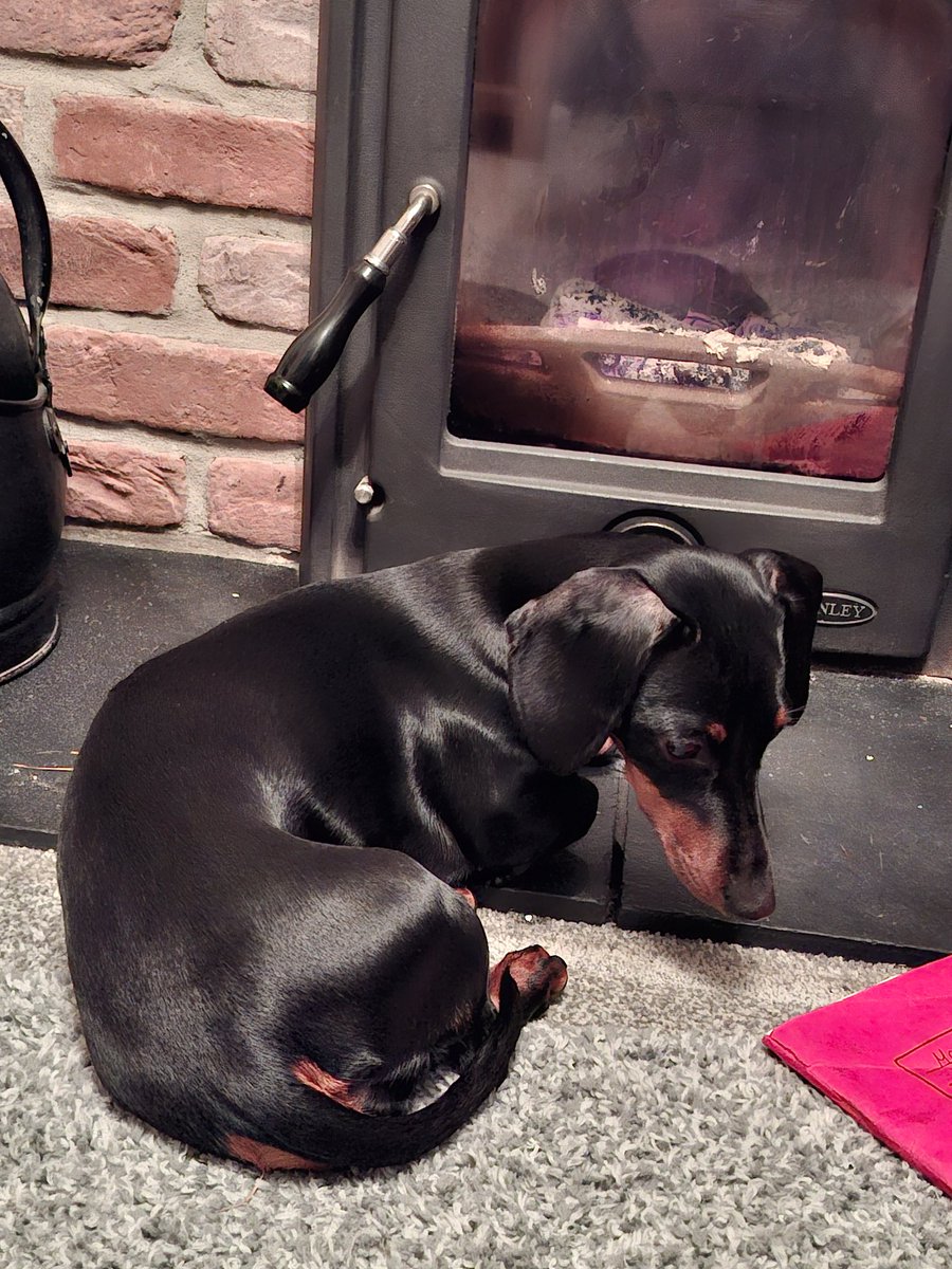 Haven't stoked it as its bedtime, one isnt amused #MoreLogsPlease