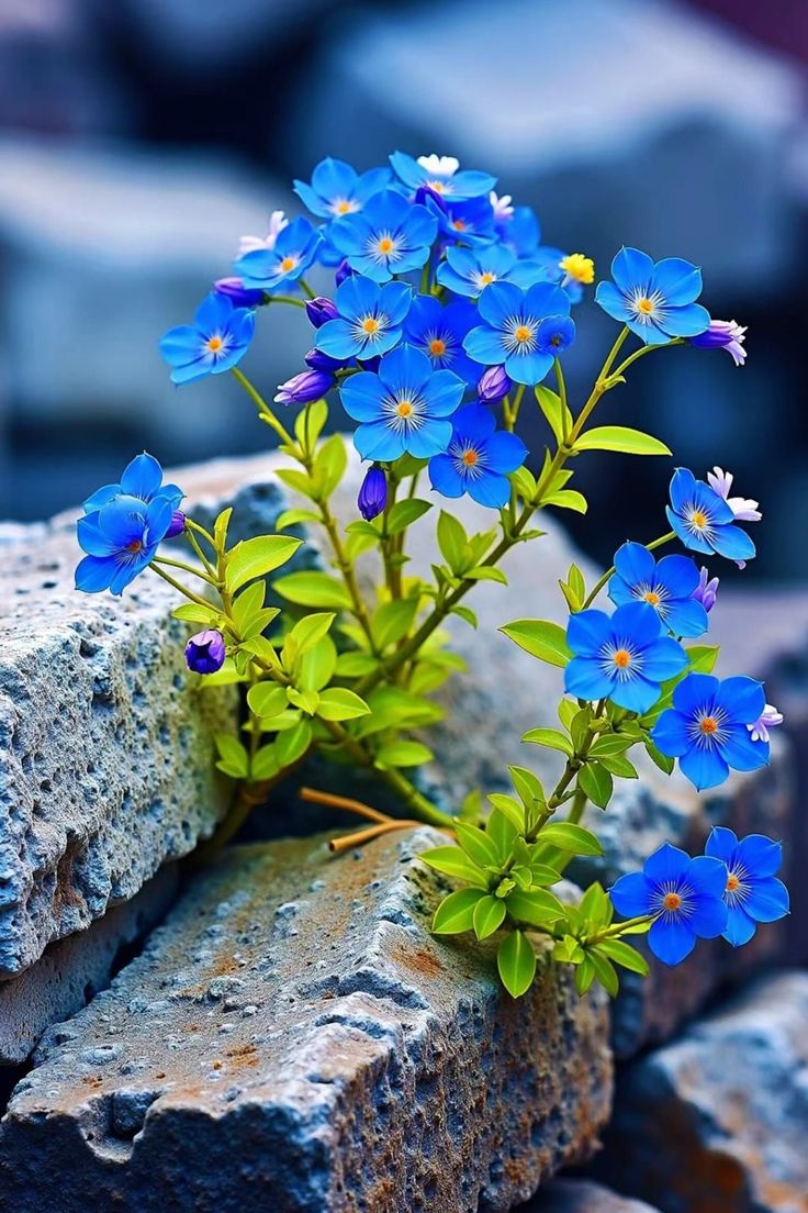 Nature Escape (@escape056) on Twitter photo 