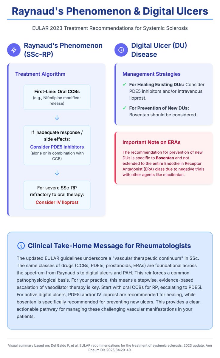 EULAR recommendations for the treatment of systemic sclerosis: 2023 update - Raynaud’s &amp; Digital Ulcers

Source: doi.org/10.1136/ard-20…