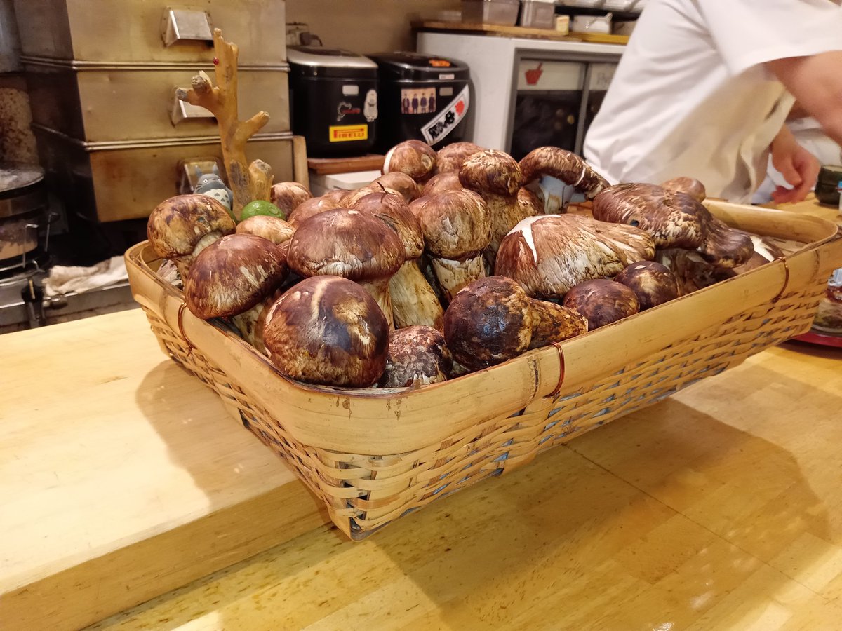 crazymonkey0909's tweet image. 昨夜は
第59代GHCジュニアヘビー級王者・高橋ヒロム選手のお誘いで
松茸狩りへ🍄‍🟫

一生分の松茸を堪能🍄‍🟫

【銀座 かいど】の大将、ご馳走様でした！！
そして
チャンピン！！
ありがとうございました！！

今日の試合も頑張ってね💪

ワス🐵