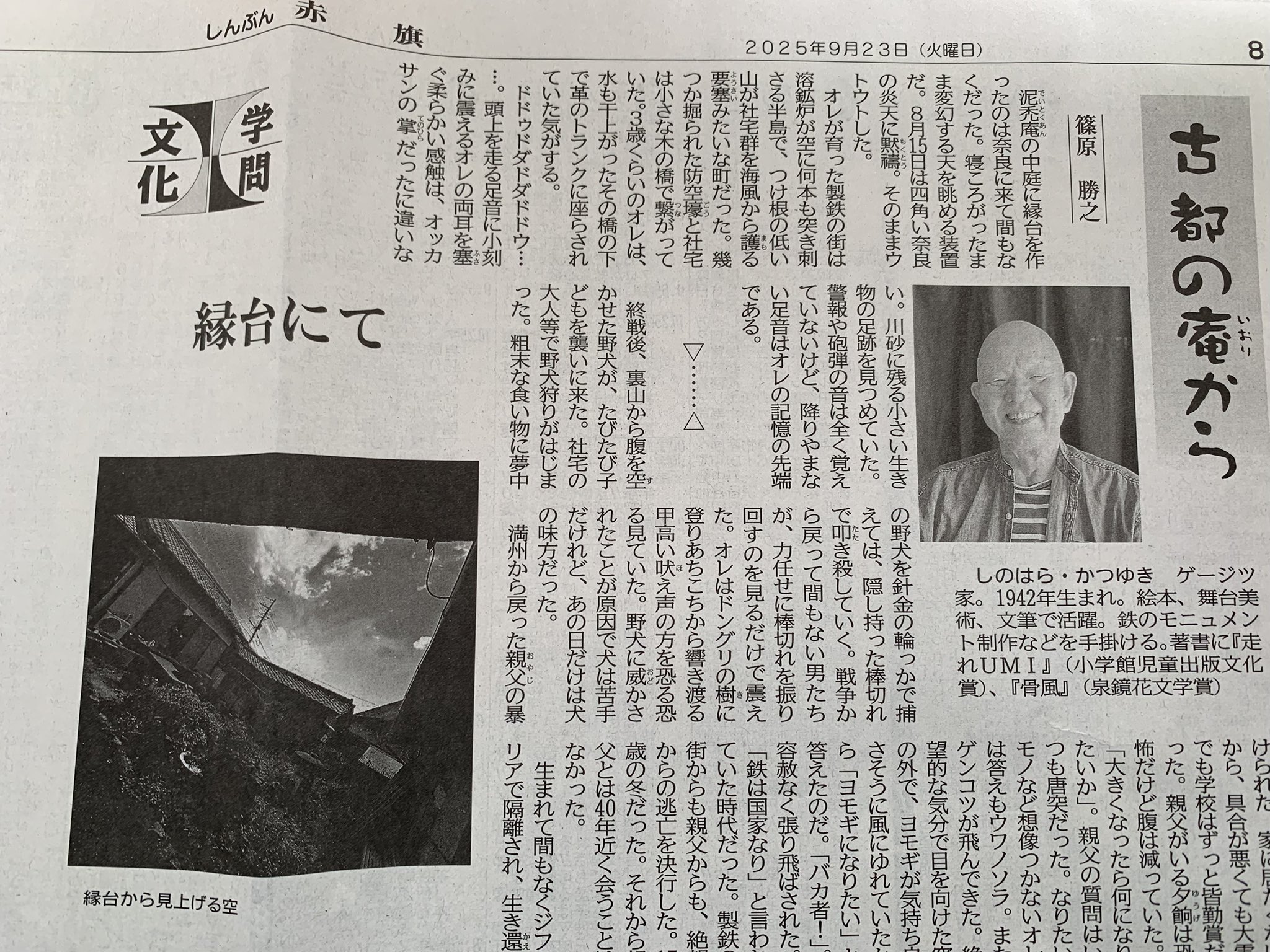 野心的な農場労働者＆不敬の皇子、オーメンダール　旧枠両面エラー 2F0FA10BDBD8025F3084D8F3671193