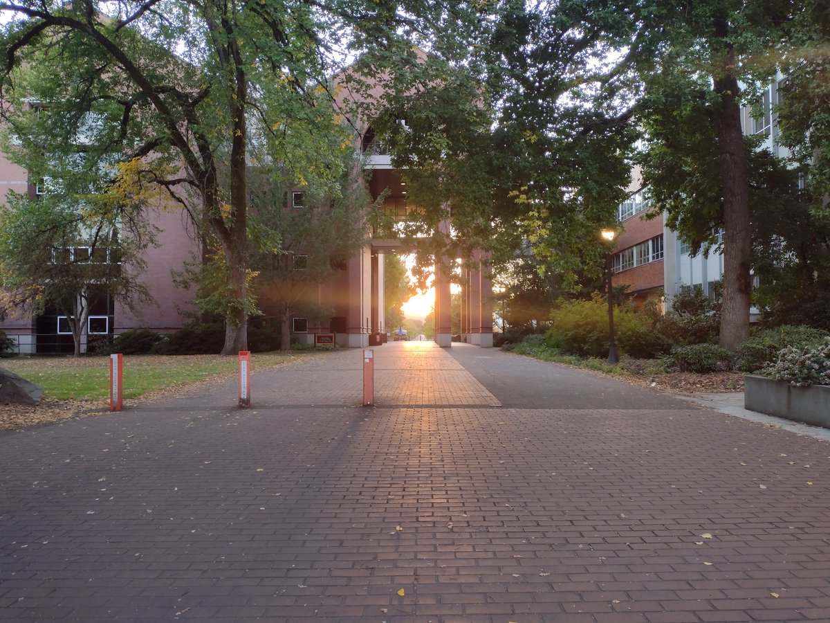 𝙳𝚊𝚟𝚒𝚍 𝙰 𝙷𝚎𝚗𝚍𝚛𝚒𝚡 tweet media