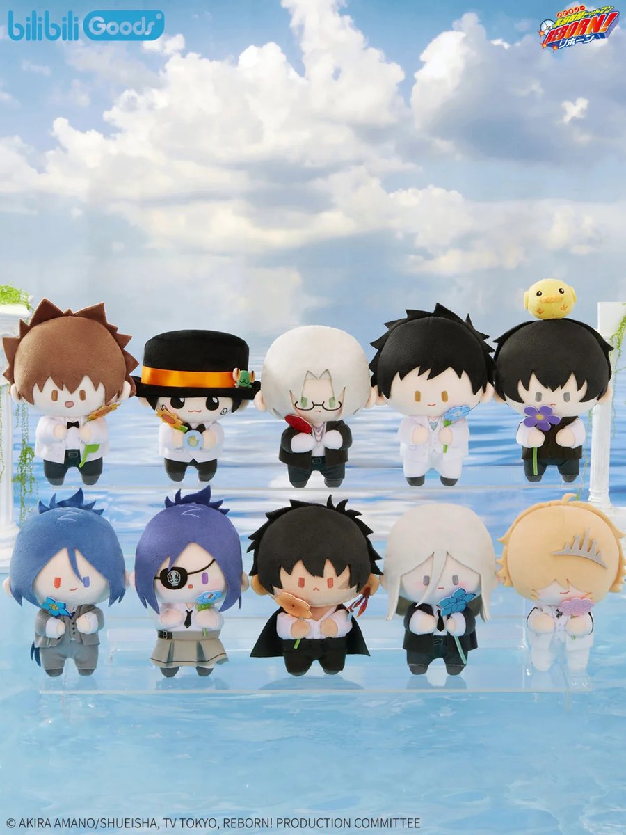 家庭教師ヒットマンREBORN! bilibiliGoods 中国 花束の約束シリーズ