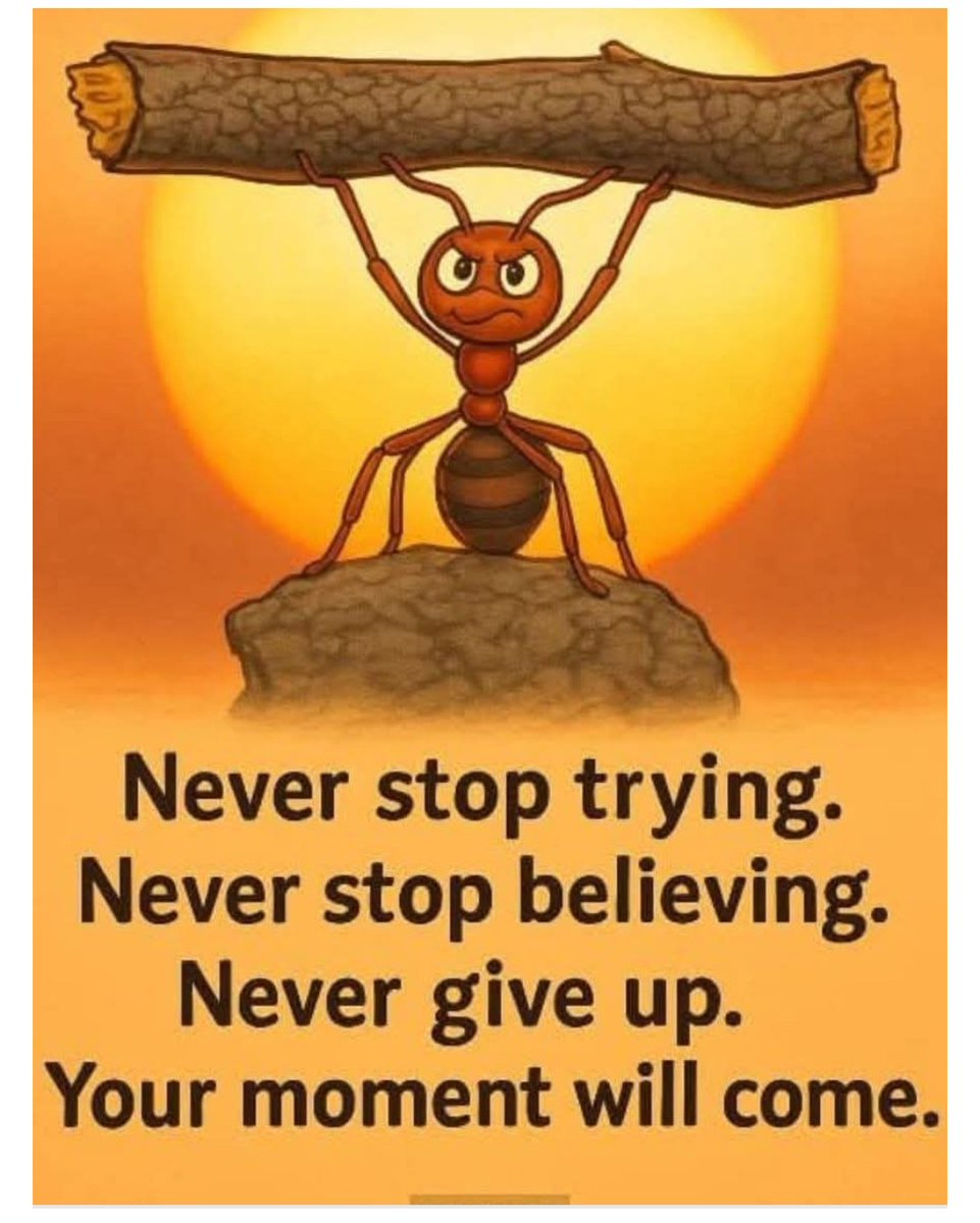 OrgPhysics's tweet image. 