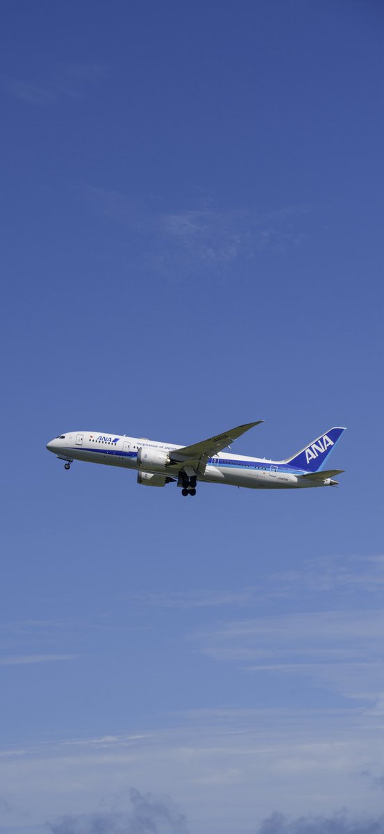 J_William9's tweet image. 青空と787🔵✈️ 

スマホのロック画面にどうぞ！ 
🆓ご自由に保存して好きなサイズで使用してください。

過去のものはハイライトにあります💁‍♀️

#wallpaper #LockScreen #壁紙 #ロック画面 #ANA