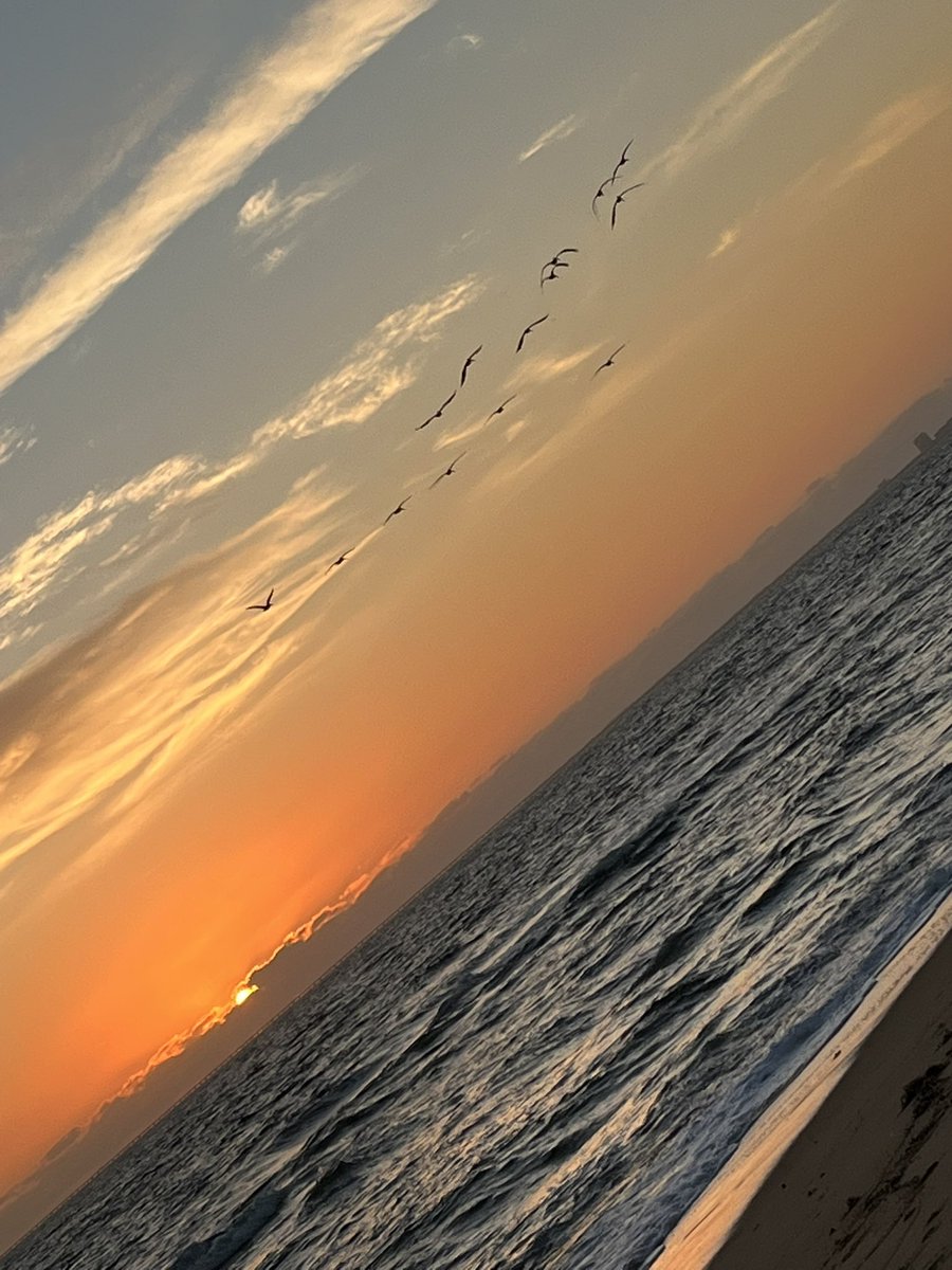 artfaix's tweet image. Fantastic times in and around Hampton. @phish is the best reason anywhere. Happy to be along and always ready for more. Mad thanks to all involved and such. #phish