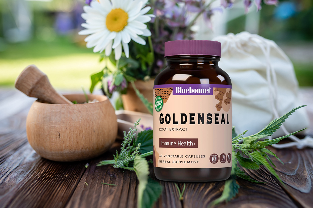 DailyVitaShop's tweet photo. Goldenseal Root Benefits: Ancient Herb, Modern Health
https://t.co/J6J6SorrIG

#GoldensealRoot #ImmuneSupport #Herbals #Herbs #Metabolism #healthtips #dailyvita #naturalhealth https://t.co/tyvIvimB7e