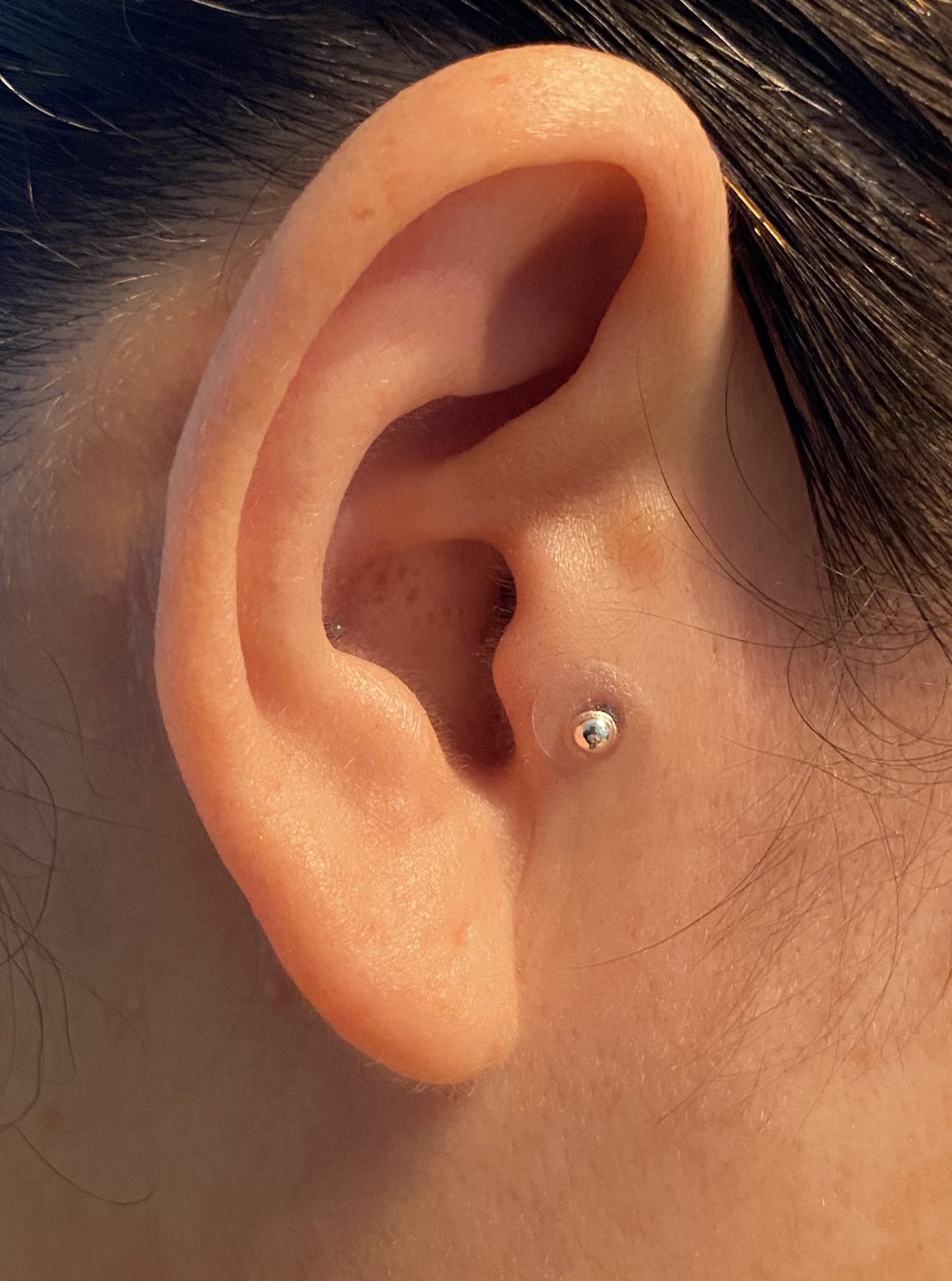 耳ツボジュエリー - Search / X