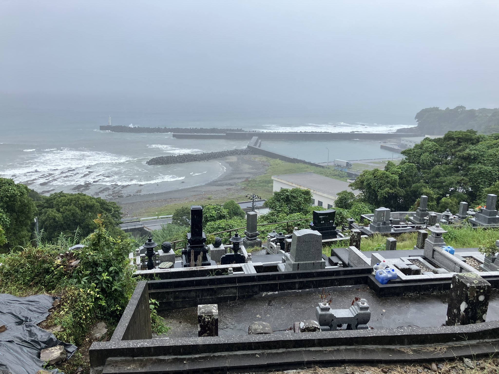 【断捨離】悲しみの古えの墳墓 ４枚 断捨離】悲しみの古えの墳墓 4枚 古えの墳墓/Ancient
