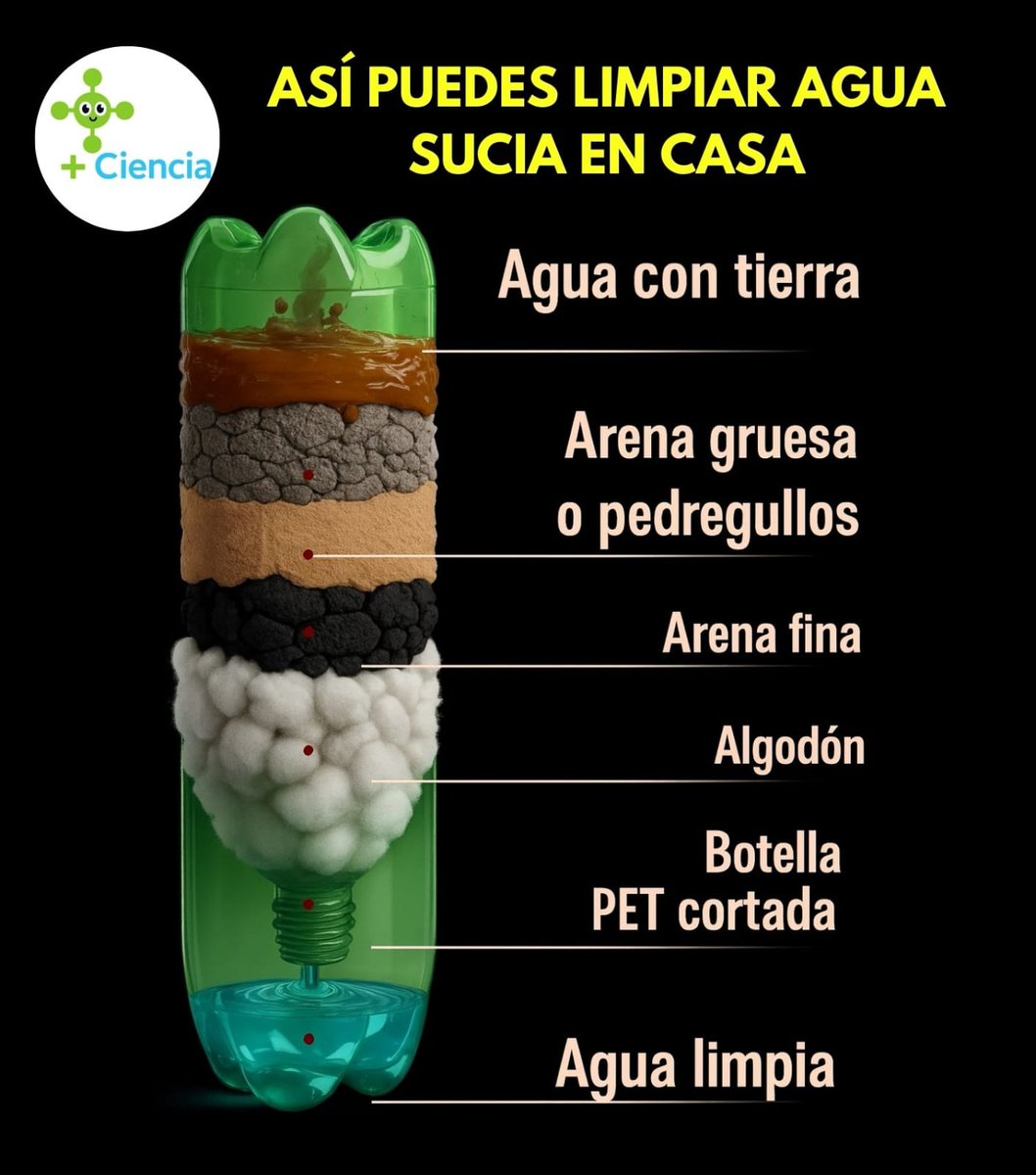 💡🔎 ¡Dato curioso que te sorprenderá!
¿Sabías que puedes filtrar agua sucia usando una simple botella? 🥤
Con capas de algodón, carbón, arena y piedras puedes convertir el agua turbia en mucho más clara. 🌊✨

🔔 Importante: Esto es solo para emergencias o educación. No