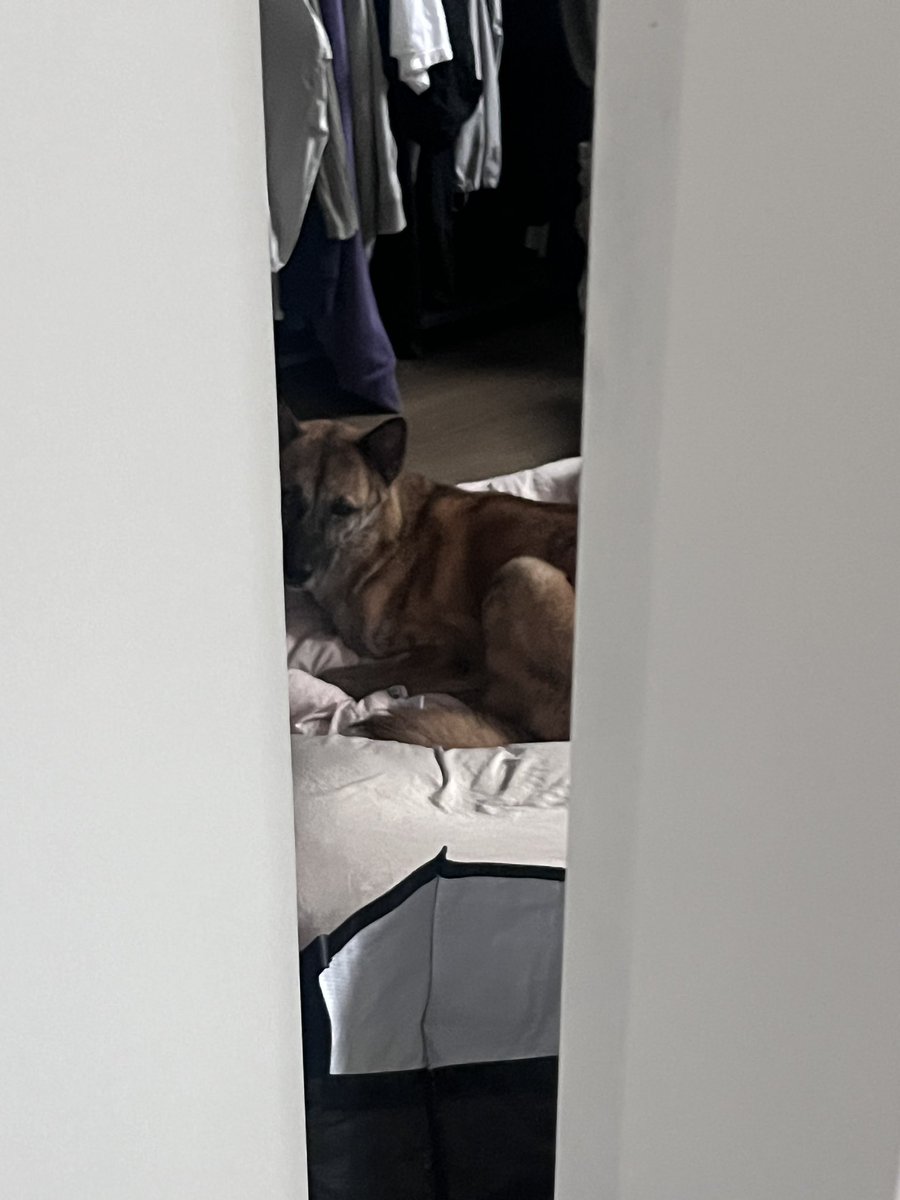 나오라고 어케 들어갔냐고 왜 못나오냐고 어이없네 진짜