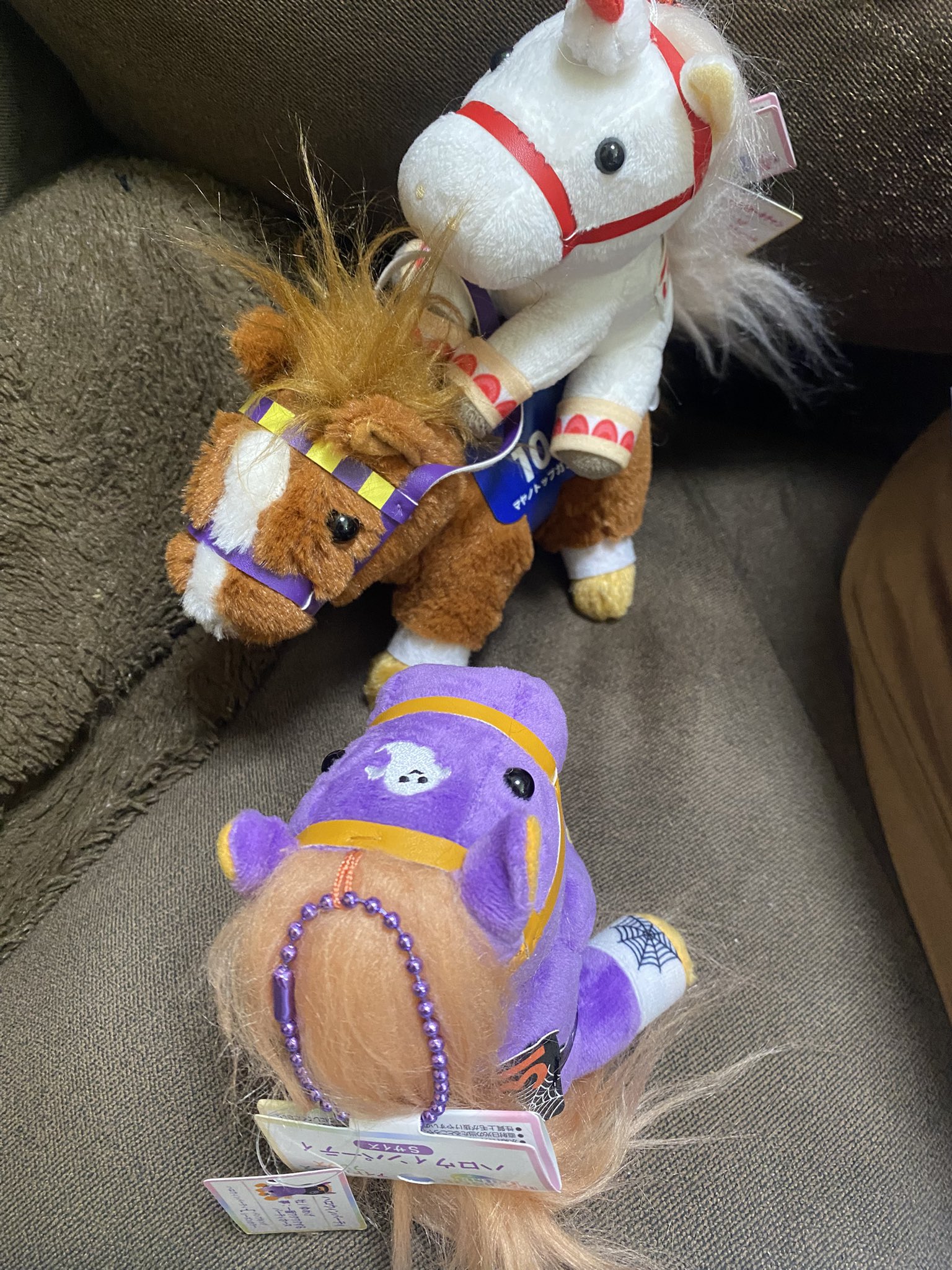 おすそ分け：【Indigo◡̈様♡レトロハロウィンパーティ】ラスト1点☆ 素敵なstudio✨ @studio_vivialeroy さん❤︎ 階段がとっても