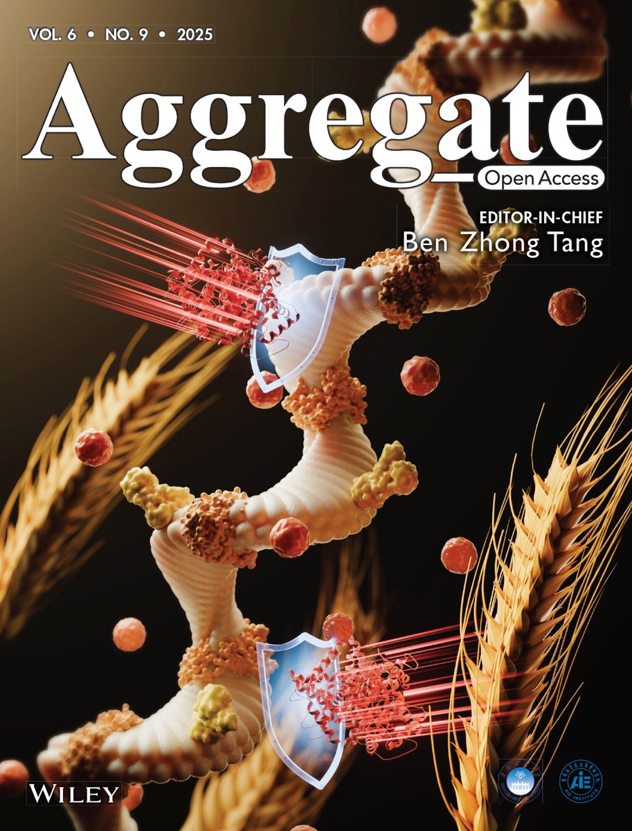 AggregateOA's tweet image. Cover: &quot;Molecular #Aggregates of Wheat #Starch–#Protein Systems: Structural Disruption and Engineered Digestibility via Non-Covalent Synergy&quot; by Fengwei Xie, Binjia Zhang, et al.@Wiley_Chemistry 
Check👉doi.org/10.1002/agt2.7…