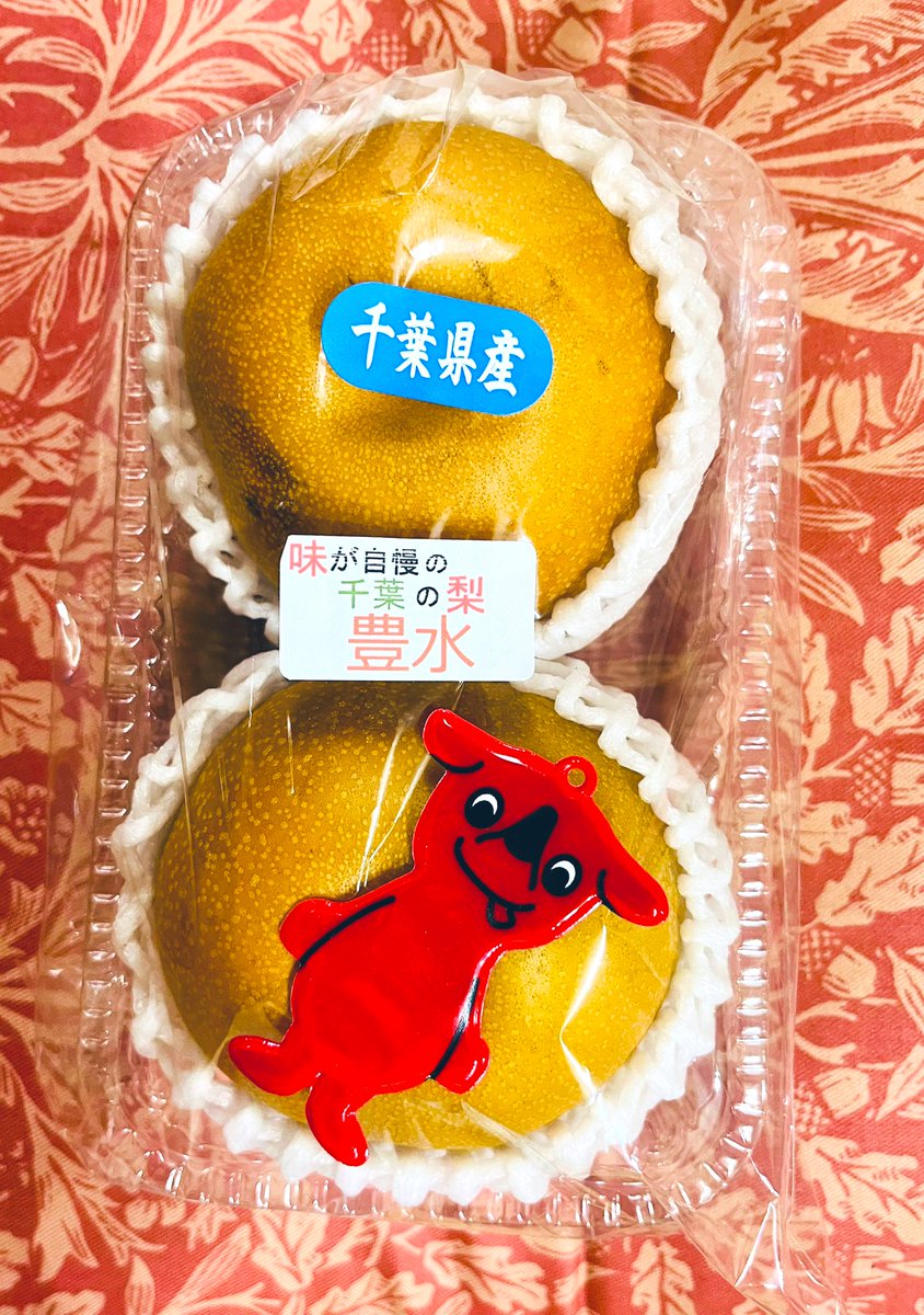 おはようございます😃
千葉県勝浦市に、食べ歩き旅行に行ってきました😊
海鮮丼、勝浦漁港前のお店で鮮度抜群🐟
勝浦タンタン麺、見た目より辛くなくマイルドな味🍜
大好きな梨、チーバくんと一緒に❣️

今日は、ヨガレッスン🧘‍♀️行って来ます！
peaceな一日を😉❣️

#勝喰
#てっぱつ屋
#チーバくん