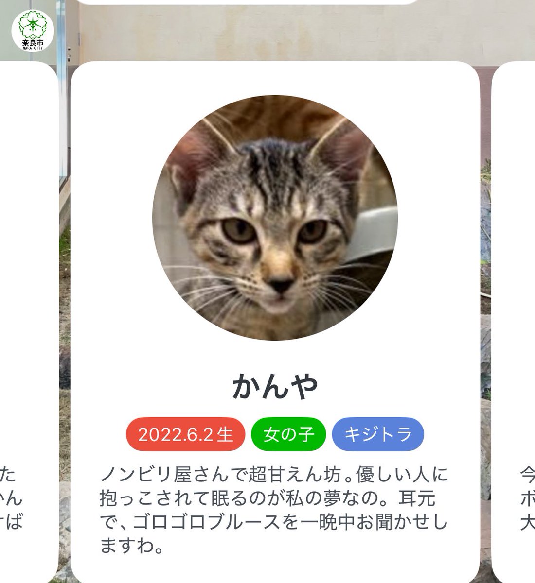 aki_ripe's tweet photo. ネーミングセンス好き https://t.co/Nklb9g1WCL