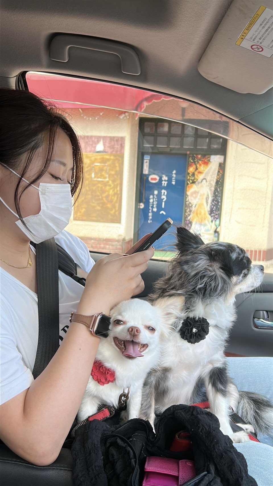 まなみん@プロフ必読様 まなみん@プロフ必読様 - メルカリ