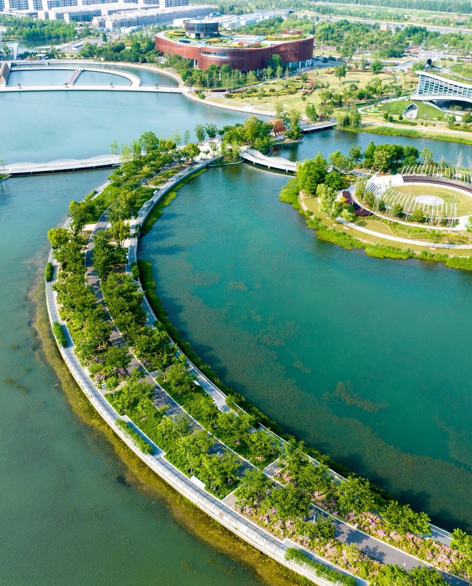 meetinshanghai's tweet image. #tourguide 🌊🌿 Escape to Shanghai Zhiyu (Jinhai Lake), a scenic treasure where shimmering waters, ribbon-like trails, and lush greenery blend with striking architecture. Perfect for cycling, strolling, family outings, or simply soaking up lakeside serenity on a weekend getaway.