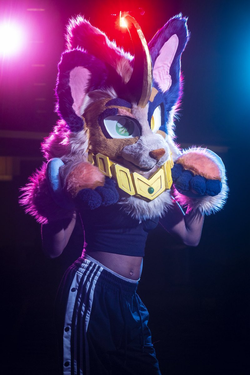 dire_walf's tweet image. BLFC PHOTOSHOOTS!

I’m currently open for photoshoots at BLFC 2025!

Headshot $150
5 photos $350
10 photos $600

Prices raise $100 week of con!

#bIfc #biggestlittlefurcon #blfc25 #blfc2025
#furcon #fursuit #fursuitphotography