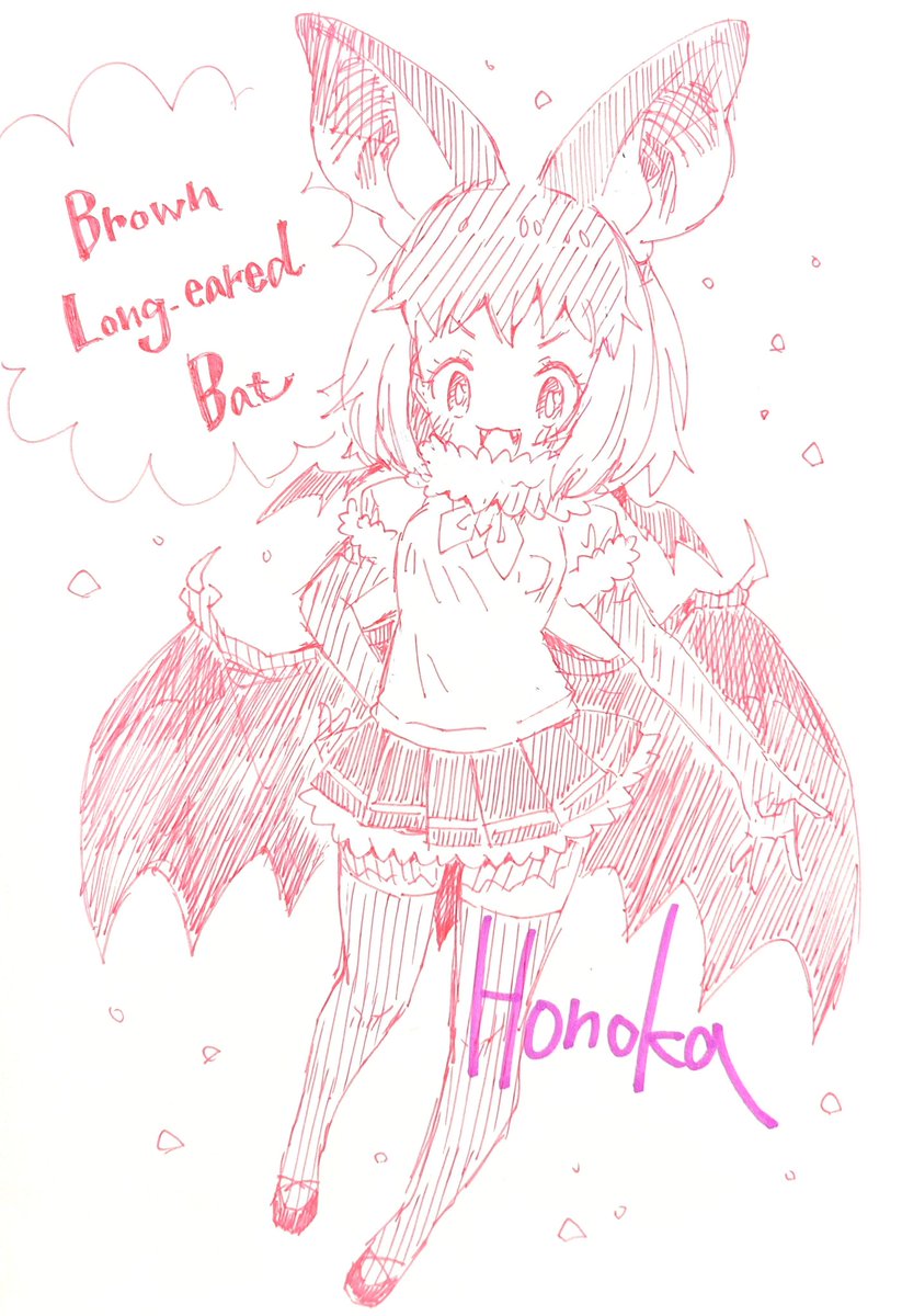 ウサギコウモリのフレンズ 