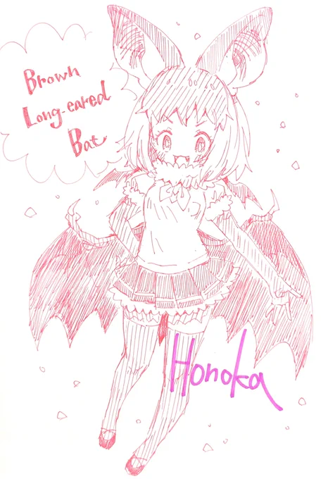 ウサギコウモリのフレンズ 