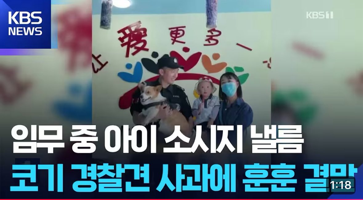 ddong19r's tweet photo. 얘가 걔임… 아이 소세지 훔쳐먹은 강아지… https://t.co/23xNGewaPD