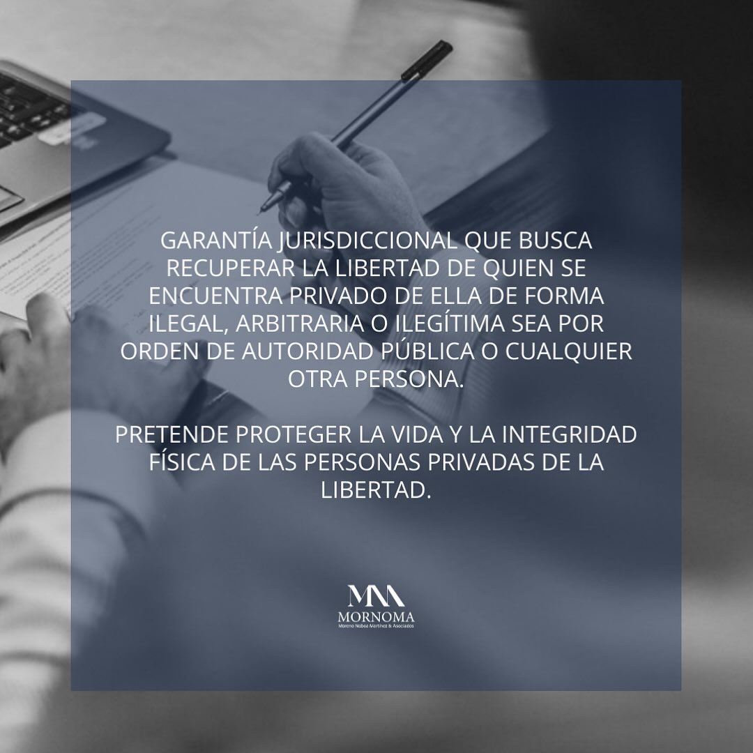 mornomaec's tweet photo. ¿Sabías que el habeas corpus es una de las principales garantías para proteger tu libertad personal?

Descubre más sobre su importancia y alcance en el ámbito jurídico.

Si tienes dudas, escríbenos
estamos aquí para ayudarte a resolverlas. https://t.co/doPQ5kybus