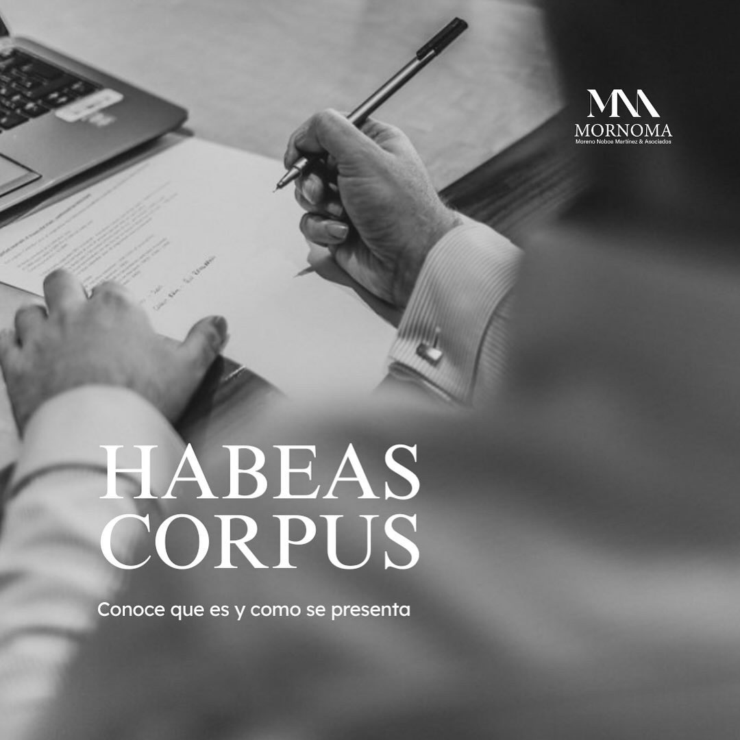 mornomaec's tweet photo. ¿Sabías que el habeas corpus es una de las principales garantías para proteger tu libertad personal?

Descubre más sobre su importancia y alcance en el ámbito jurídico.

Si tienes dudas, escríbenos
estamos aquí para ayudarte a resolverlas. https://t.co/doPQ5kybus