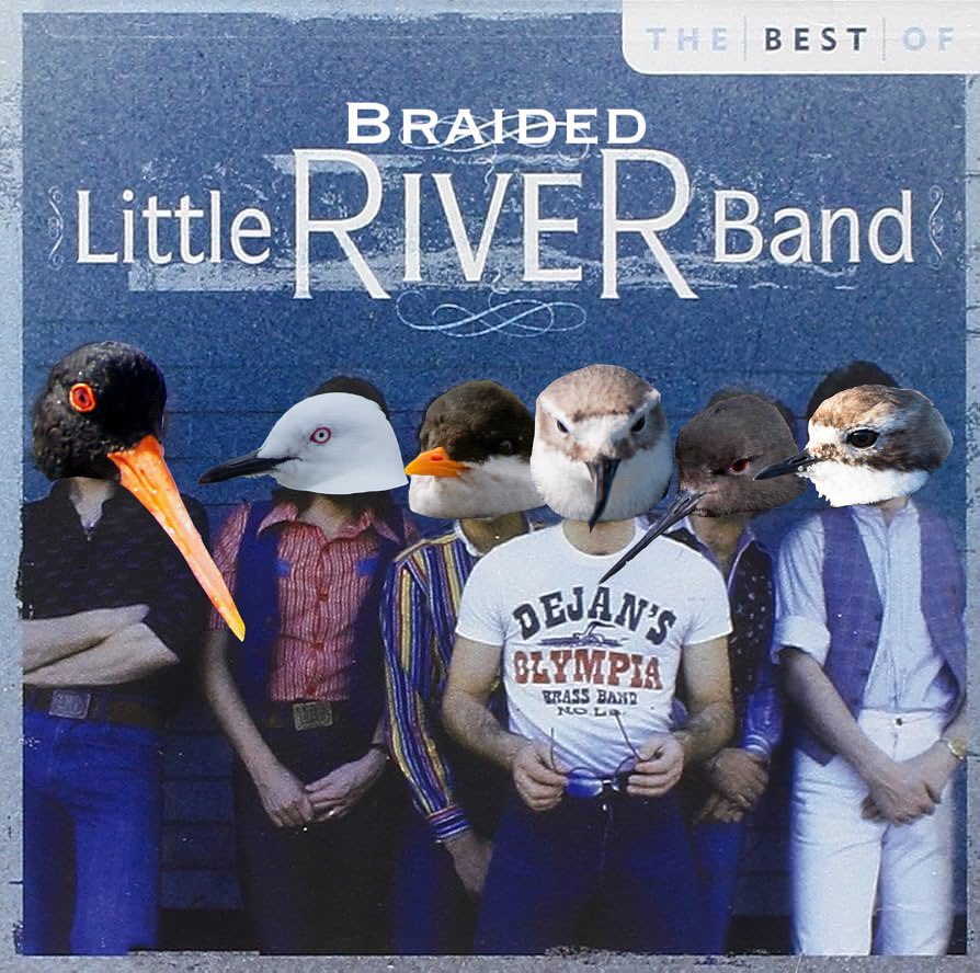 TarapukaBOTY's tweet photo. We got together with our fellow braided river birds to start a band!
(Music video coming soon)
#birdoftheyear2025 #birdoftheyear #nzbirdoftheyear #boty2025 #boty https://t.co/IAss1phJ4R