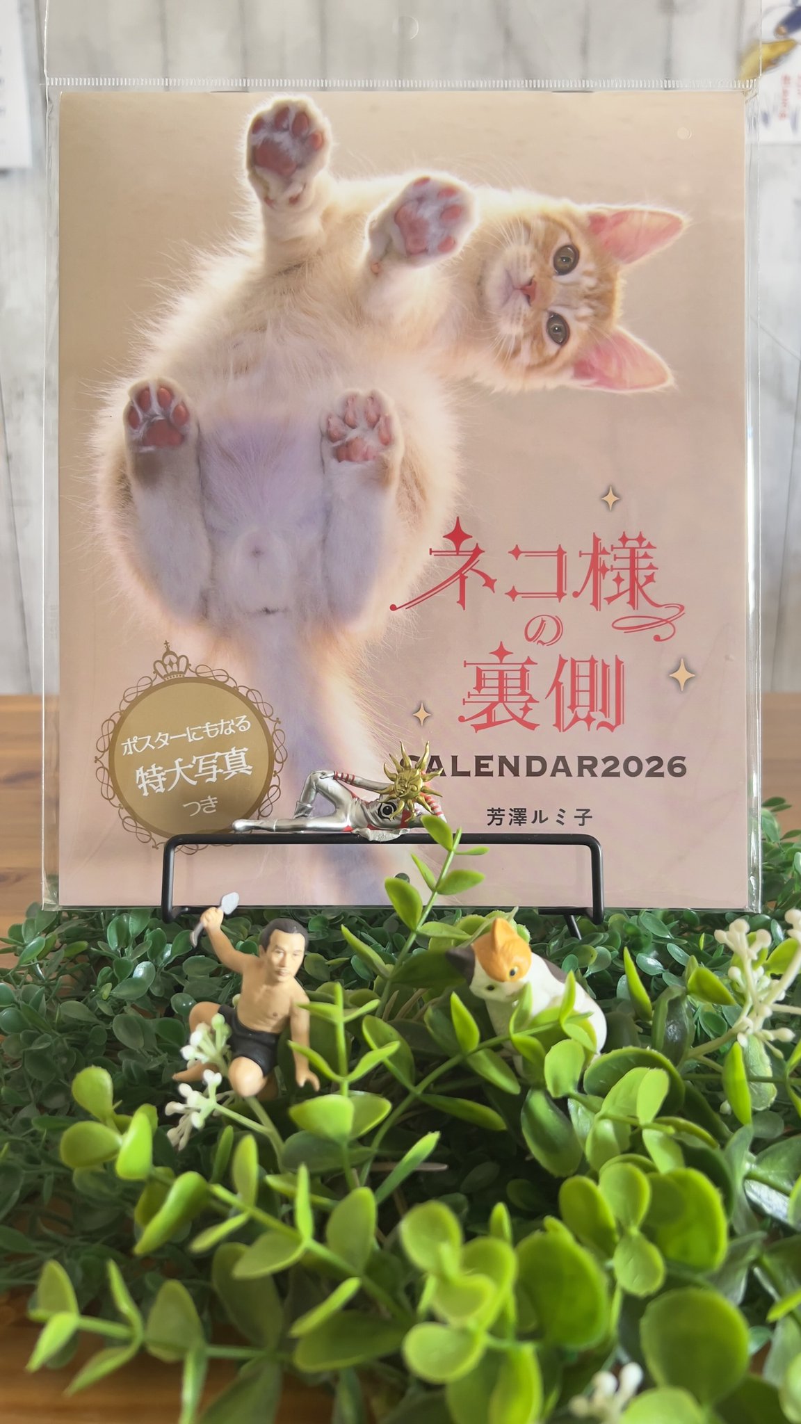 ねこ☆様　45枚 ︎山本 正義 (Masayoshi Yamamoto)立ち猫®︎ on X: 