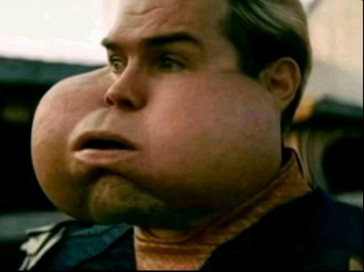 THE HYPE MACHINE tweet media