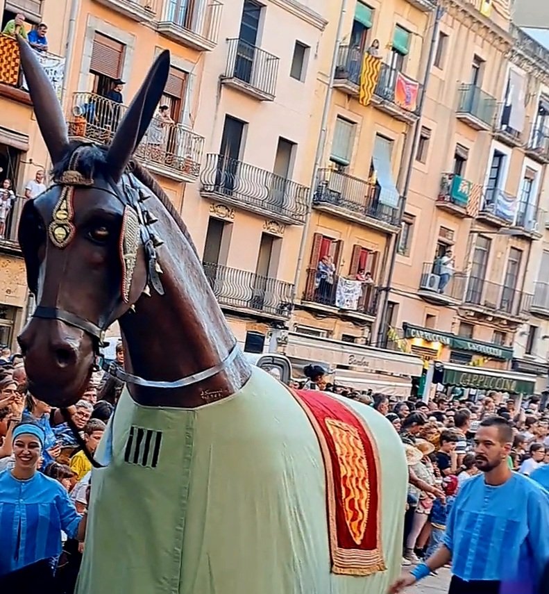 raquel_tgn's tweet photo. Cercavila de #StaTecla #Tarragona https://t.co/A45CkwesrM