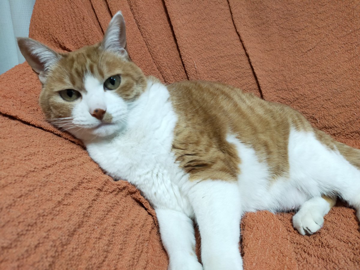 gomasa_masa's tweet photo. ずっと大好きで大切で永遠で唯一無二の家族 https://t.co/4YzeYDwAoW