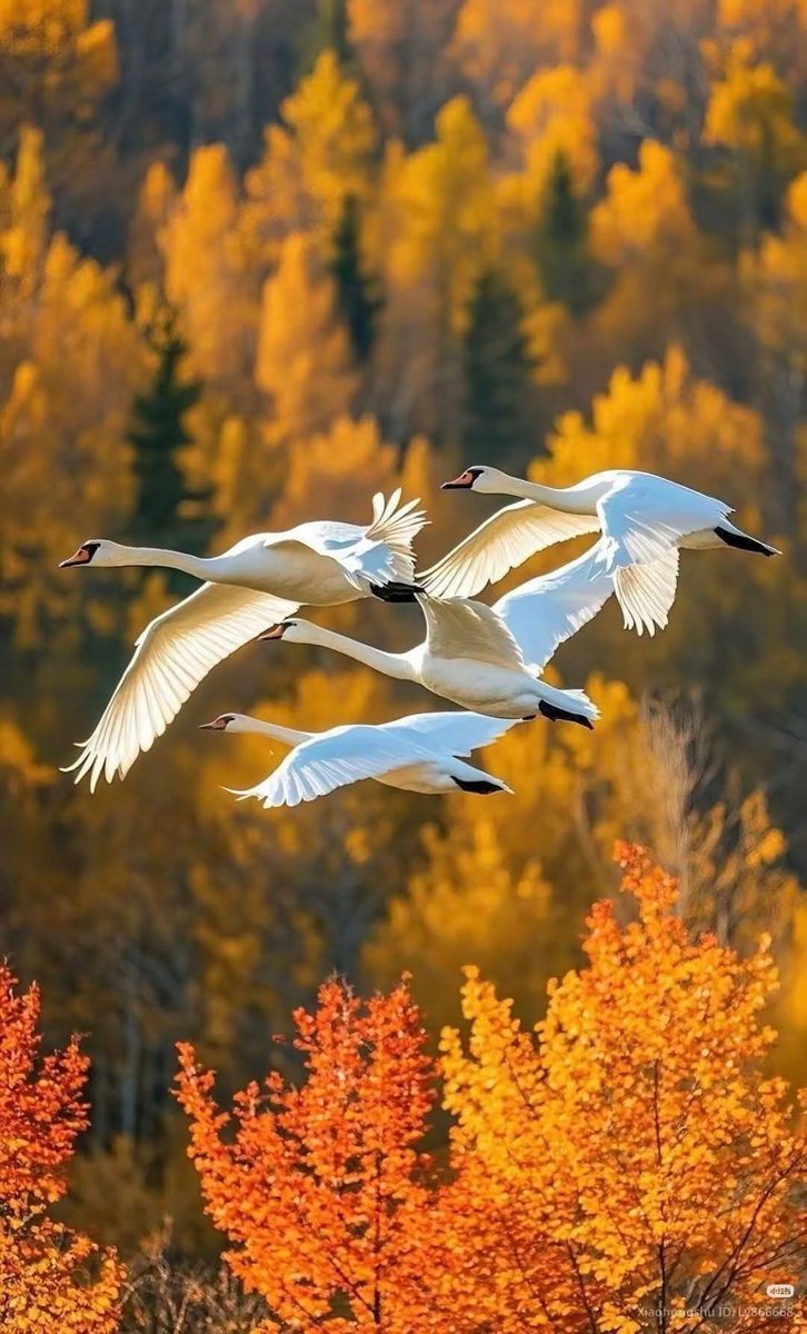 Өнөөдрийн ажилд нь амжилт хүсье ӨГЛӨӨНИЙ МЭНД