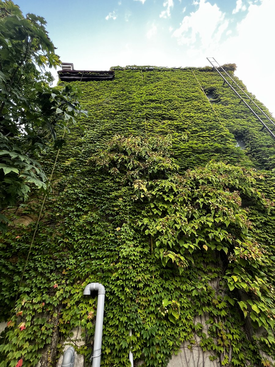 g_u_u_3's tweet image. 