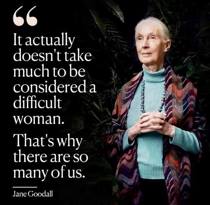 Jennifer Hoffmann (@jennyhoffmann) on Twitter photo 