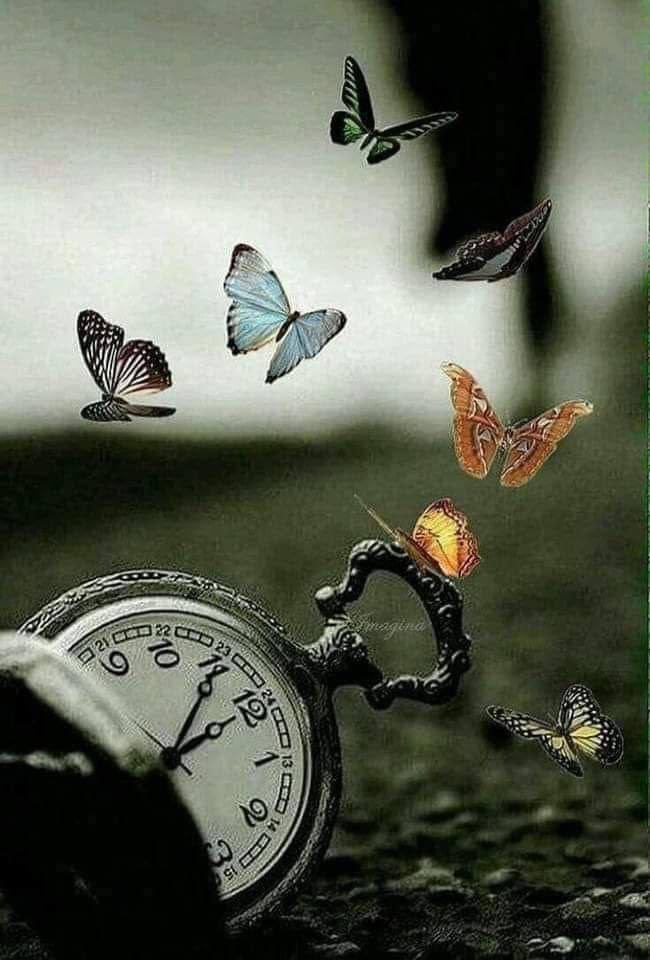 أحيانًآ نؤجل الحياة على أمل أن تأتي اللحظة المناسبة لأن نحيا
لا ندرك أنّ العمر ينفد والصحة تذبل والنفس تزهد
وأنّ تلك اللحظة المناسبة لأن نحيا لن تأتي بصورتها المثالية أبدًآ