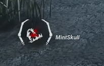 Mint Skull tweet media
