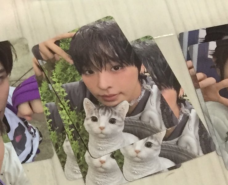 cwp_il's tweet photo. @ix7iDhGvbsddS4E リプありがとうございます🙇🏻‍♀️
可能です！主様のツイ見させていただいたのですが、こちらのリクも追加で同種ユウシと交換いかがでしょうか？？ https://t.co/N3MIItOVRr