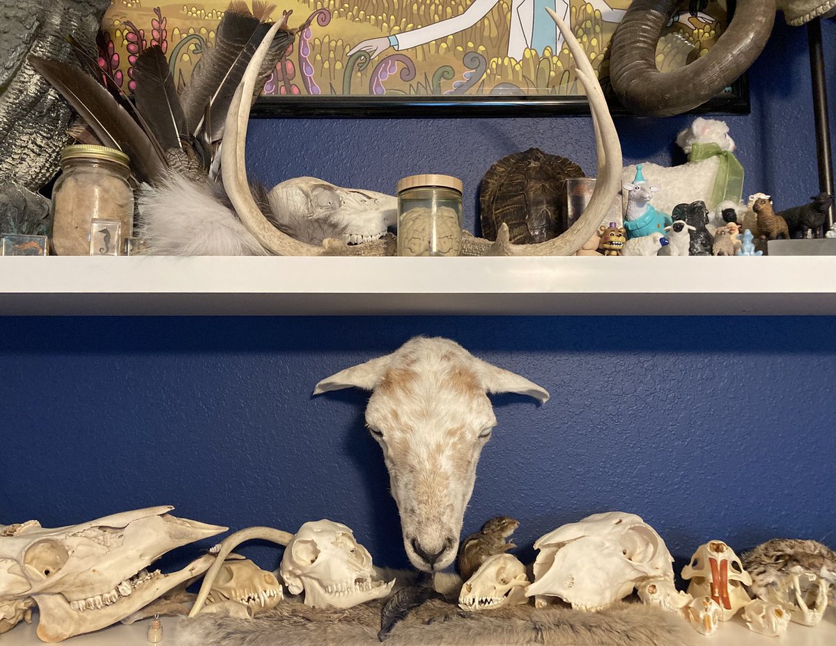 🪦 Lamb 🪦 tweet media