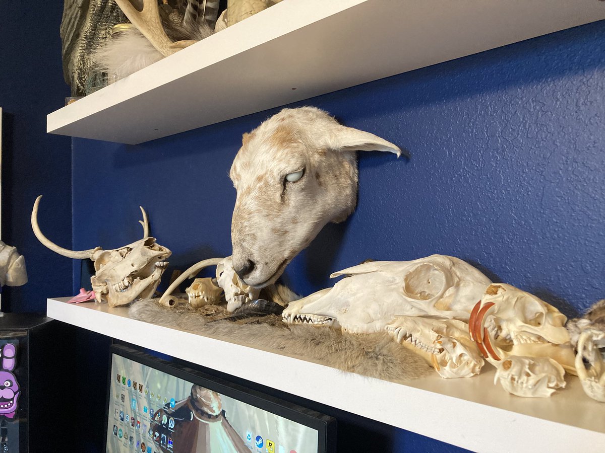 🪦 Lamb 🪦 tweet media