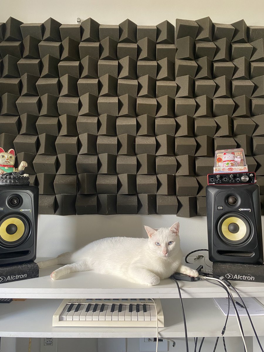 nevvoa's tweet photo. O que estava oculto, agora se revela: Nevvoa

Observem Setup gato de gravação 😹

#Nevvoa #NovaCena #PostPunkBrasil #RockNacional #IndieBrasil #BandasNovas #UndergroundBrasil #MúsicaIndependente #Darkwave #RockAlternativo #MúsicaAutoral #IndieRock #GothicRock #MúsicaBrasileira https://t.co/XuGWc1QINC