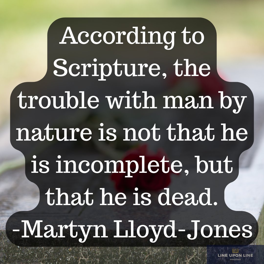 LineUponLineMin's tweet photo. Amen https://t.co/PatR75L6Aa