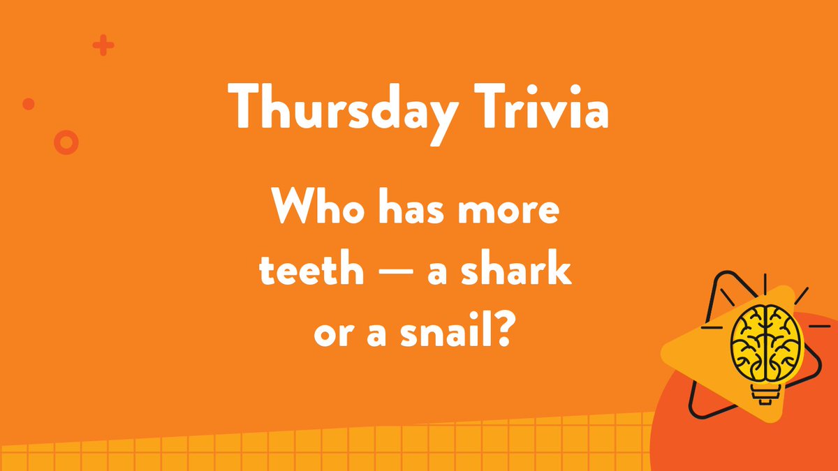 ExploreLearning's tweet image. Science trivia time! Which creature has more teeth — a shark or a snail? The answer might surprise you… 👀 Drop your guess in the comments below!🦈🐌 bit.ly/4aaIkuf
#ThursdayTrivia #ExploreLearning