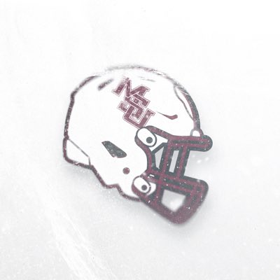 HailStateFB's tweet photo. #NewProfilePic https://t.co/T7vts6Ttgm
