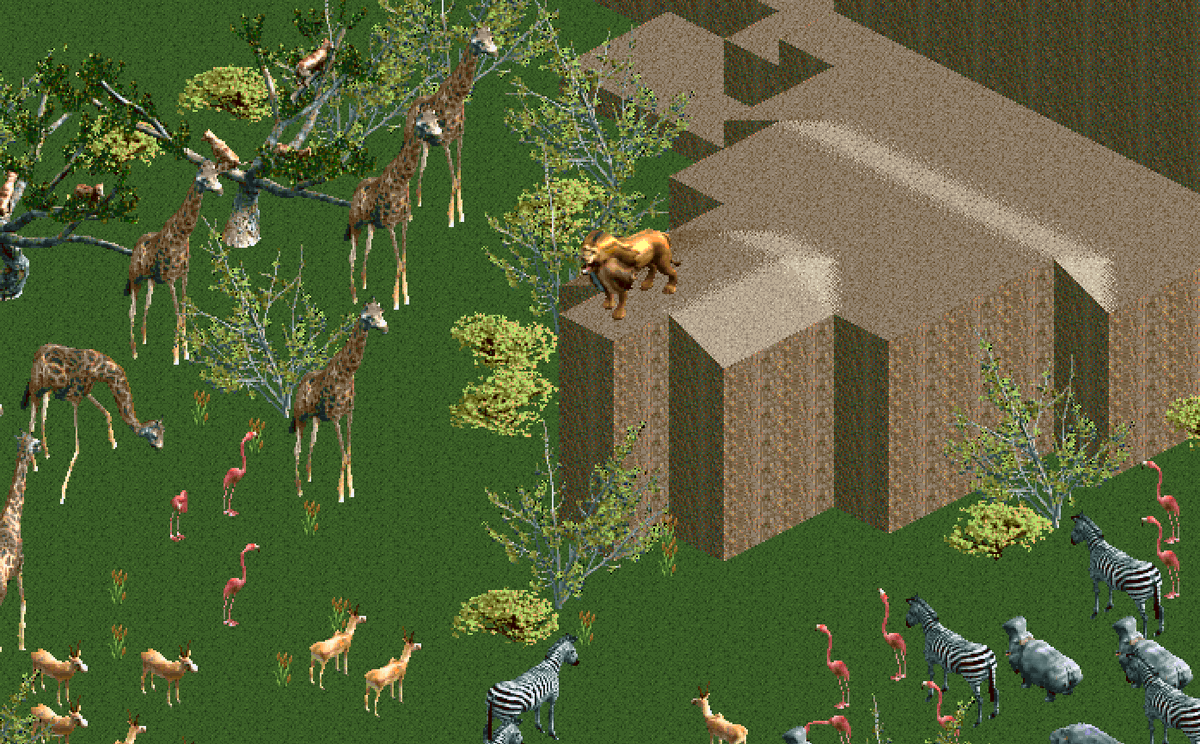 Movie Monday featuring The Lion King! 🦁