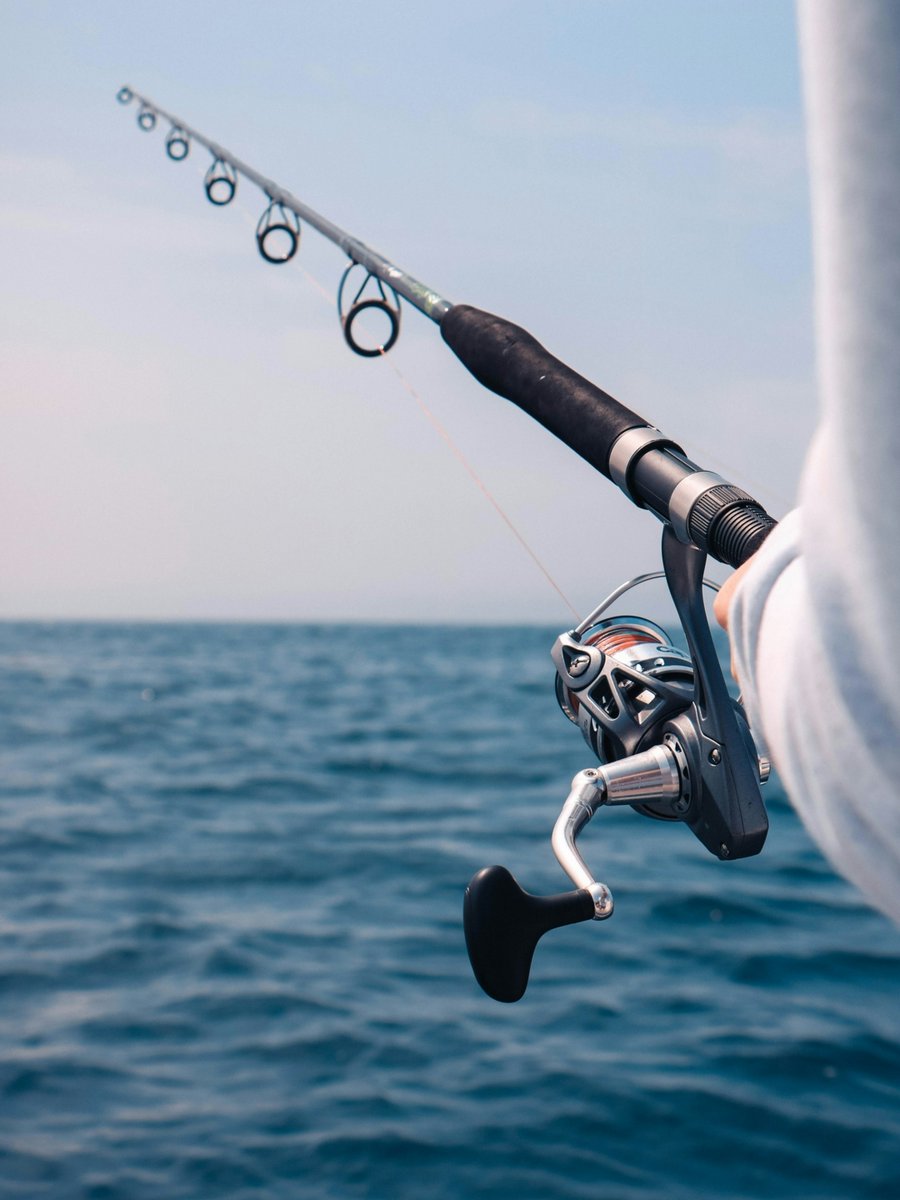 Comfort Suites Ocean City (@cs_oceancity) on Twitter photo 🎣 Ready for a reel #adventure? Try your luck at the #OceanCity Fishing Pier or book a deep-sea charter. OC is the White Marlin Capital of the World, with big catches, great views, and endless fun awaiting. 🐟
 bit.ly/4meu5cf 🎣 Ready for a reel #adventure? Try your luck at the #OceanCity Fishing Pier or book a deep-sea charter. OC is the White Marlin Capital of the World, with big catches, great views, and endless fun awaiting. 🐟
 bit.ly/4meu5cf