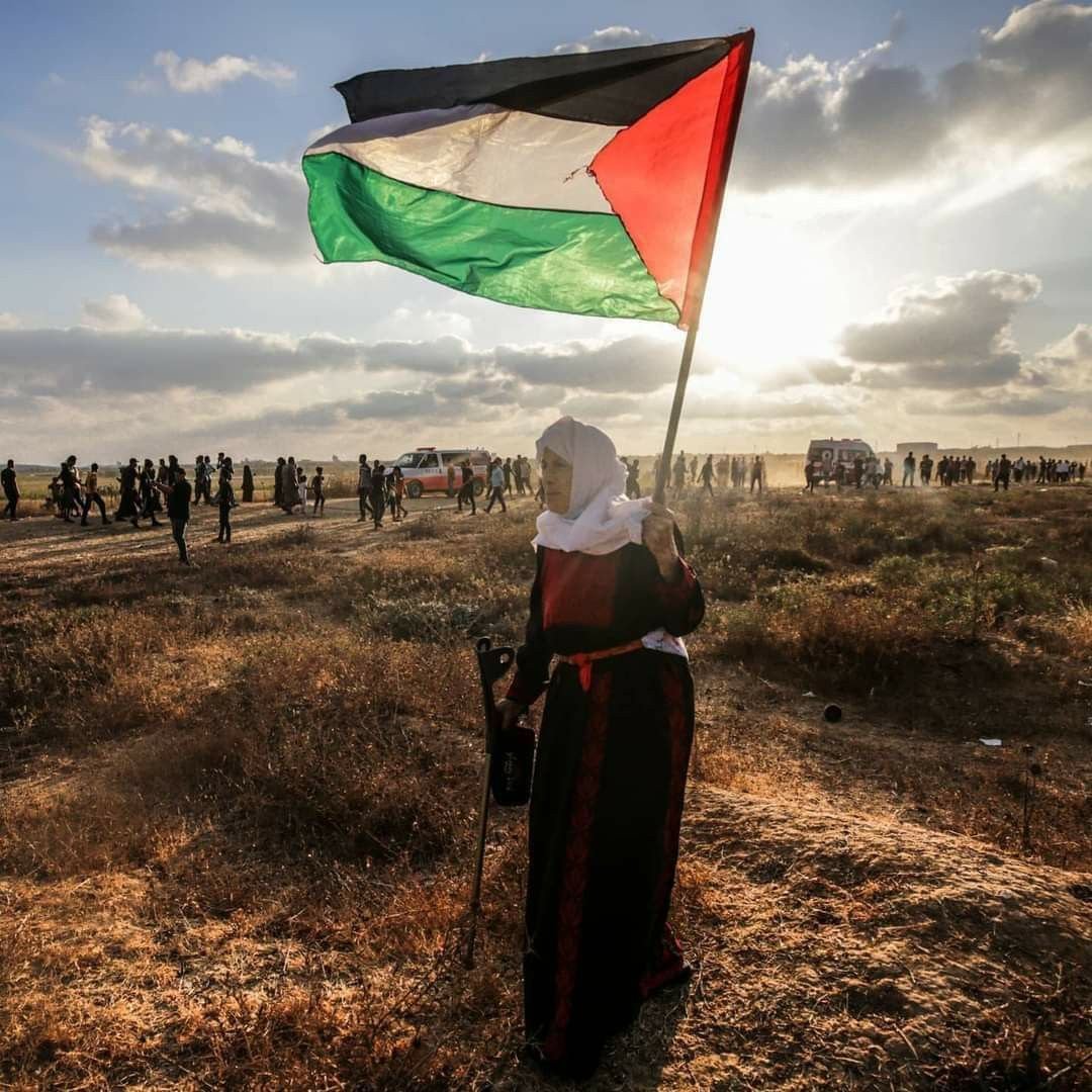 Gaza is not a war zone, it’s home to millions of innocent lives. #FreePalestine